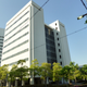 Image: Tokumeigakarinoaoshima
